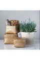 Assorted Seagrass Boxes