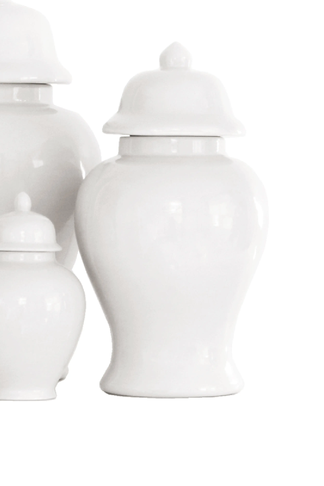 Medium Ginger Jar