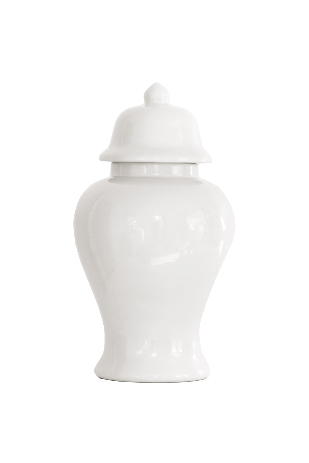 Large Ginger Jar