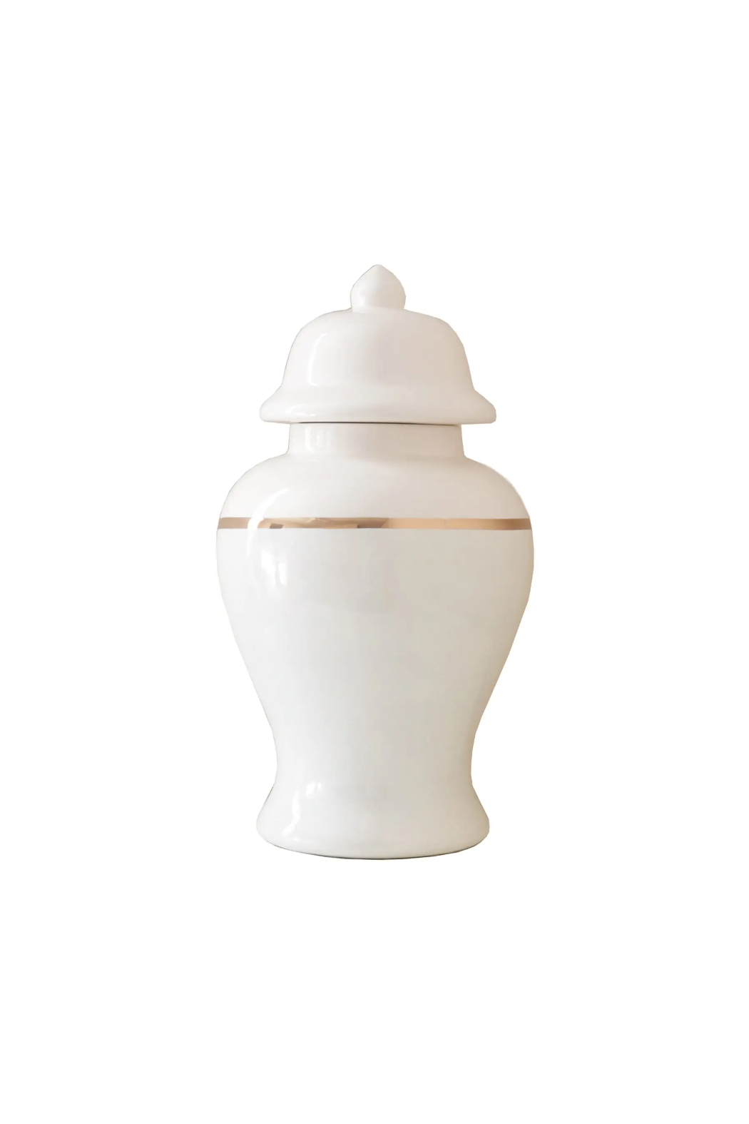 Gold Accent Ginger Jars