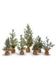 Frosted Evergreen Trees