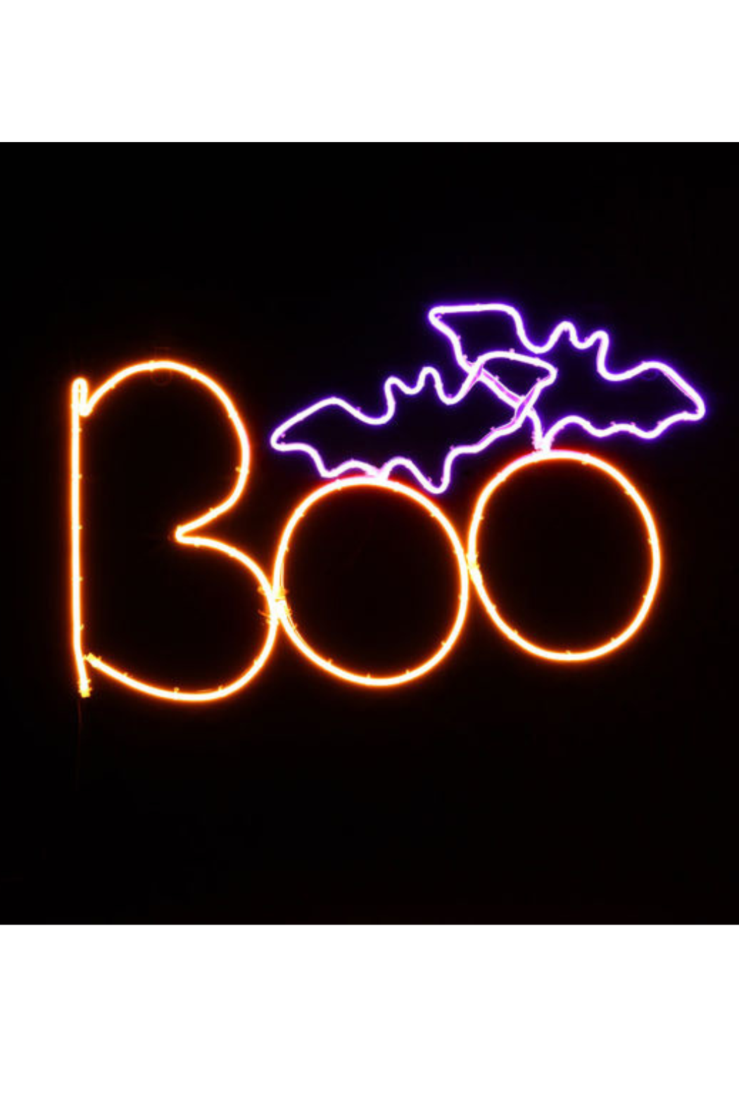 24" Neon Sign