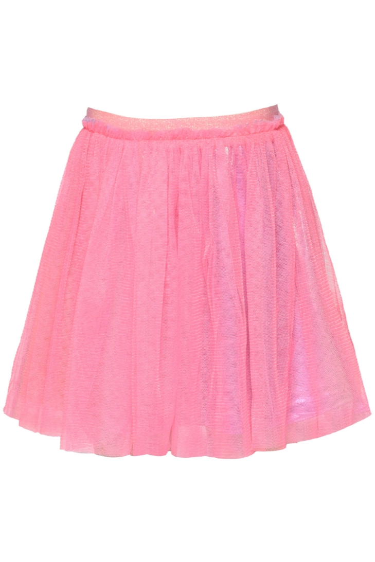 Mesh Tutu Skirt