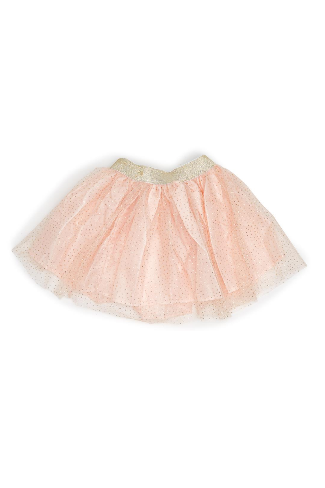 Tulle Dress Up Tutu