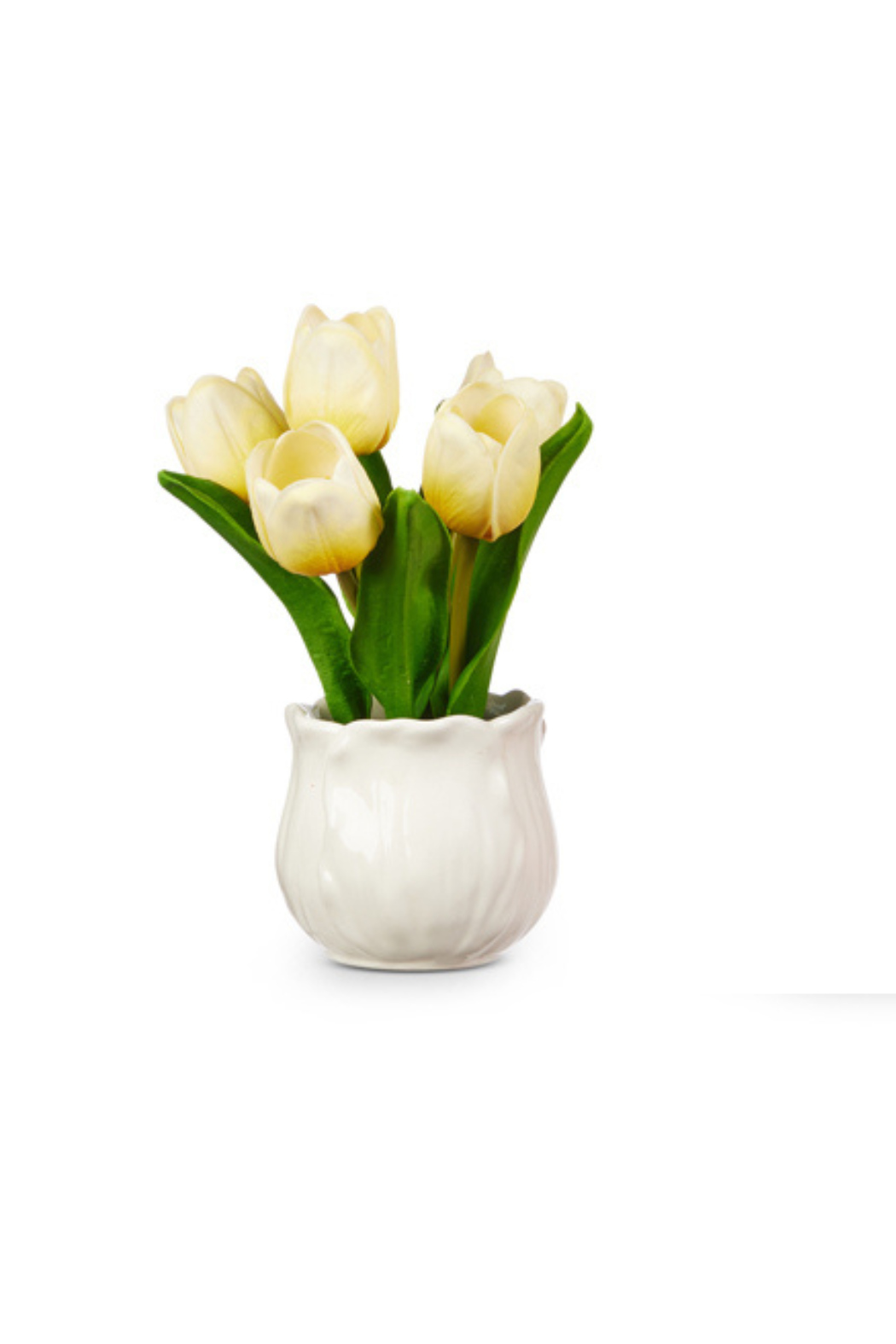 8.5" Potted Tulips