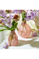Decorative Bottle Vase