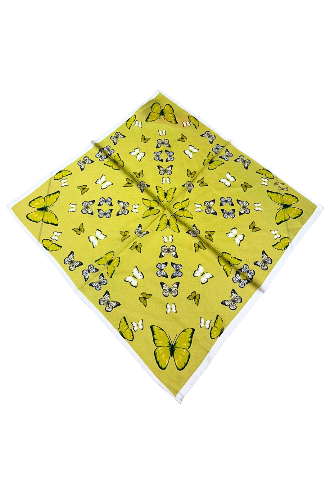 Cora B. Satin Scarf