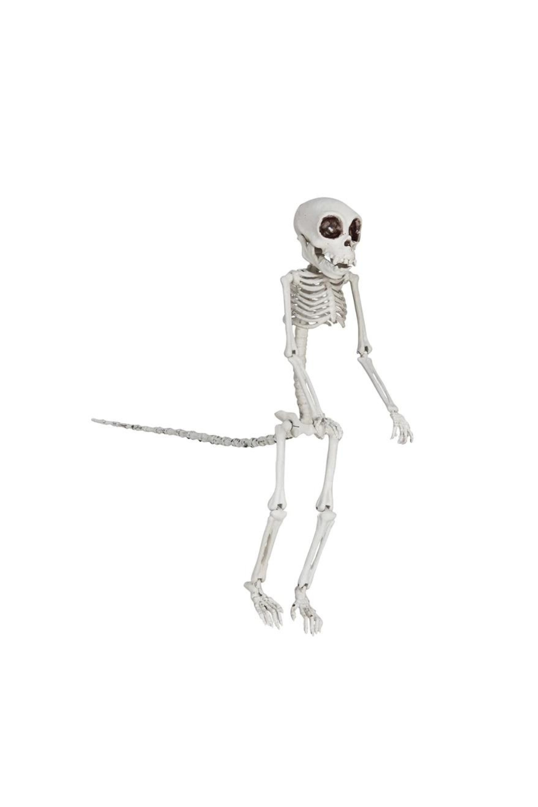 Plastic Monkey Skeleton
