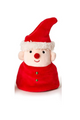 2-In-1 Holiday Plush Toy