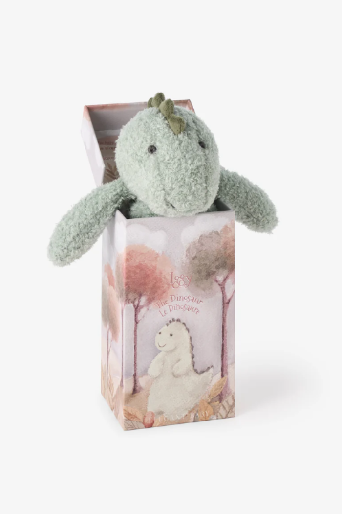 Dinosaur Boxed Snuggler