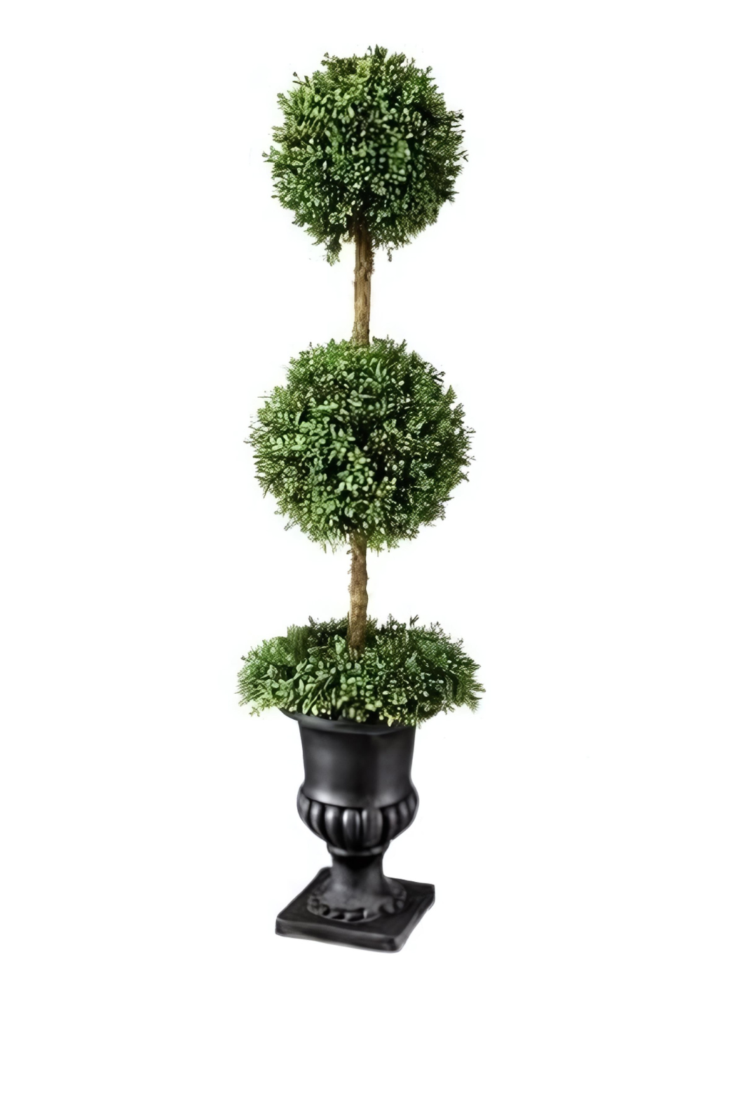 54" Boxwood Topiary