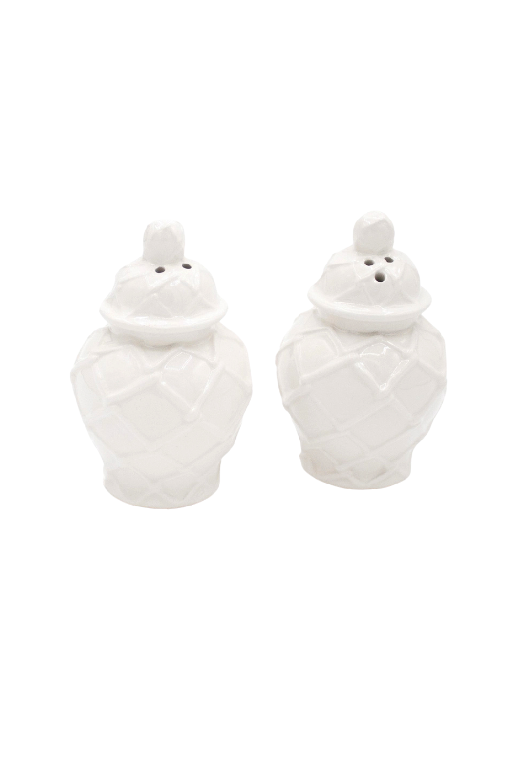 Ginger Jar Salt and Pepper Shakers