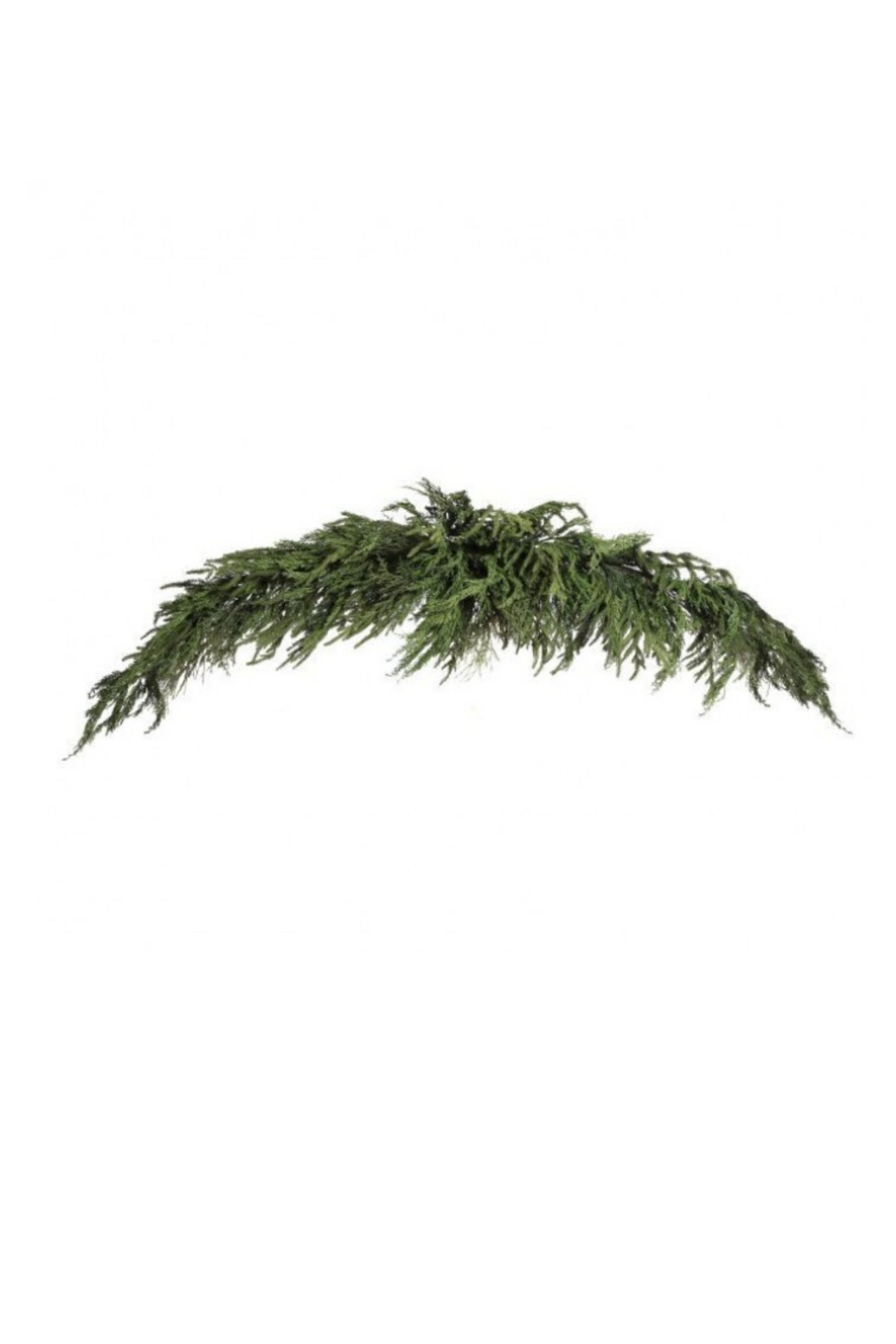 72" Luxury Cyrpus/Norfolk Pine Swag