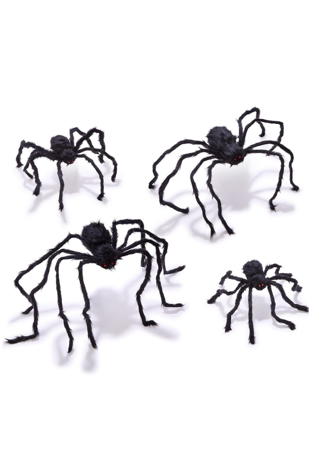 Furry Tarantula Spiders