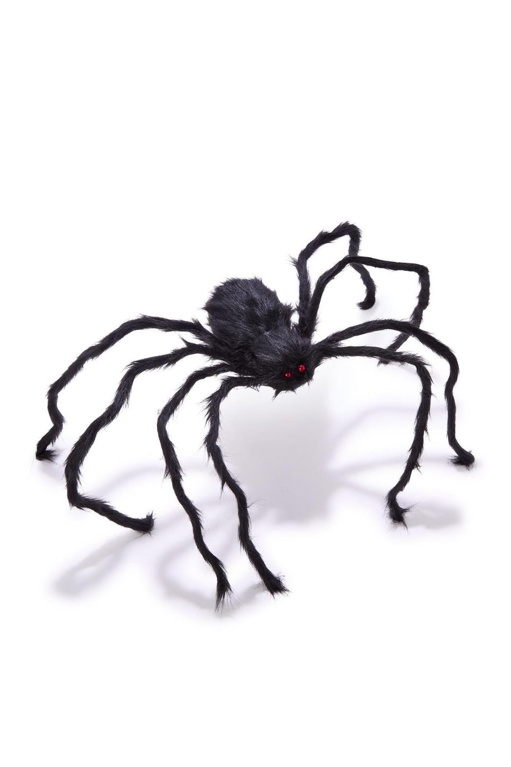 Furry Tarantula Spiders