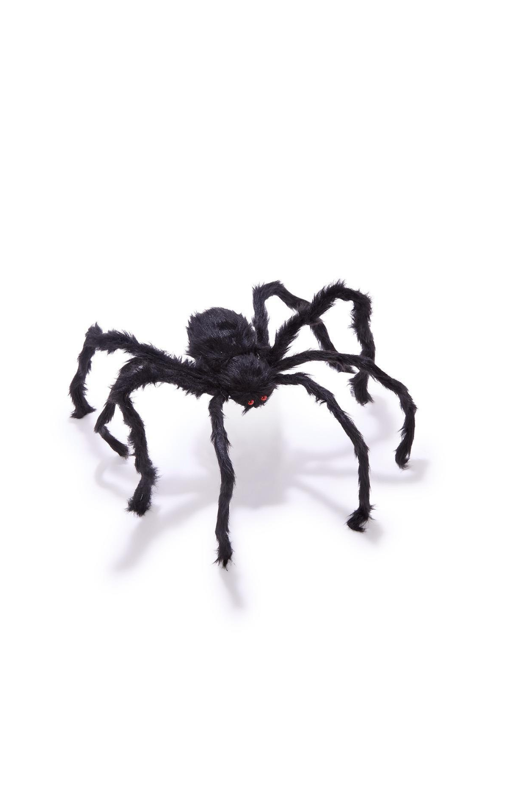 Furry Tarantula Spiders