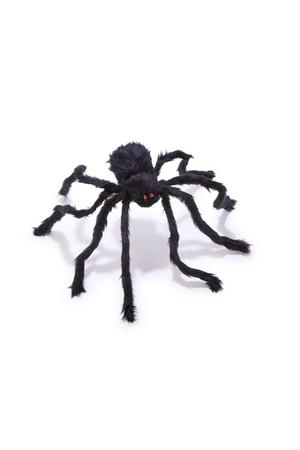 Furry Tarantula Spiders