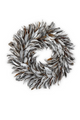 Shimmering Plumage Feather Wreath