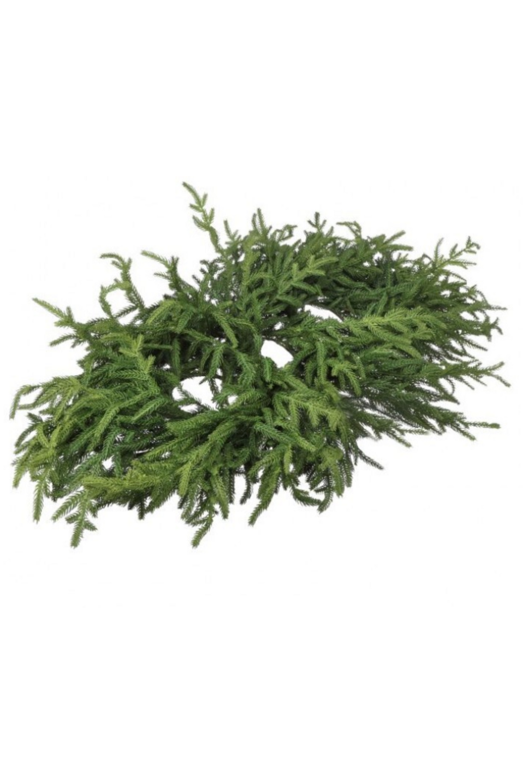 36-inch Justcut Norfolk Pine Centerpiece
