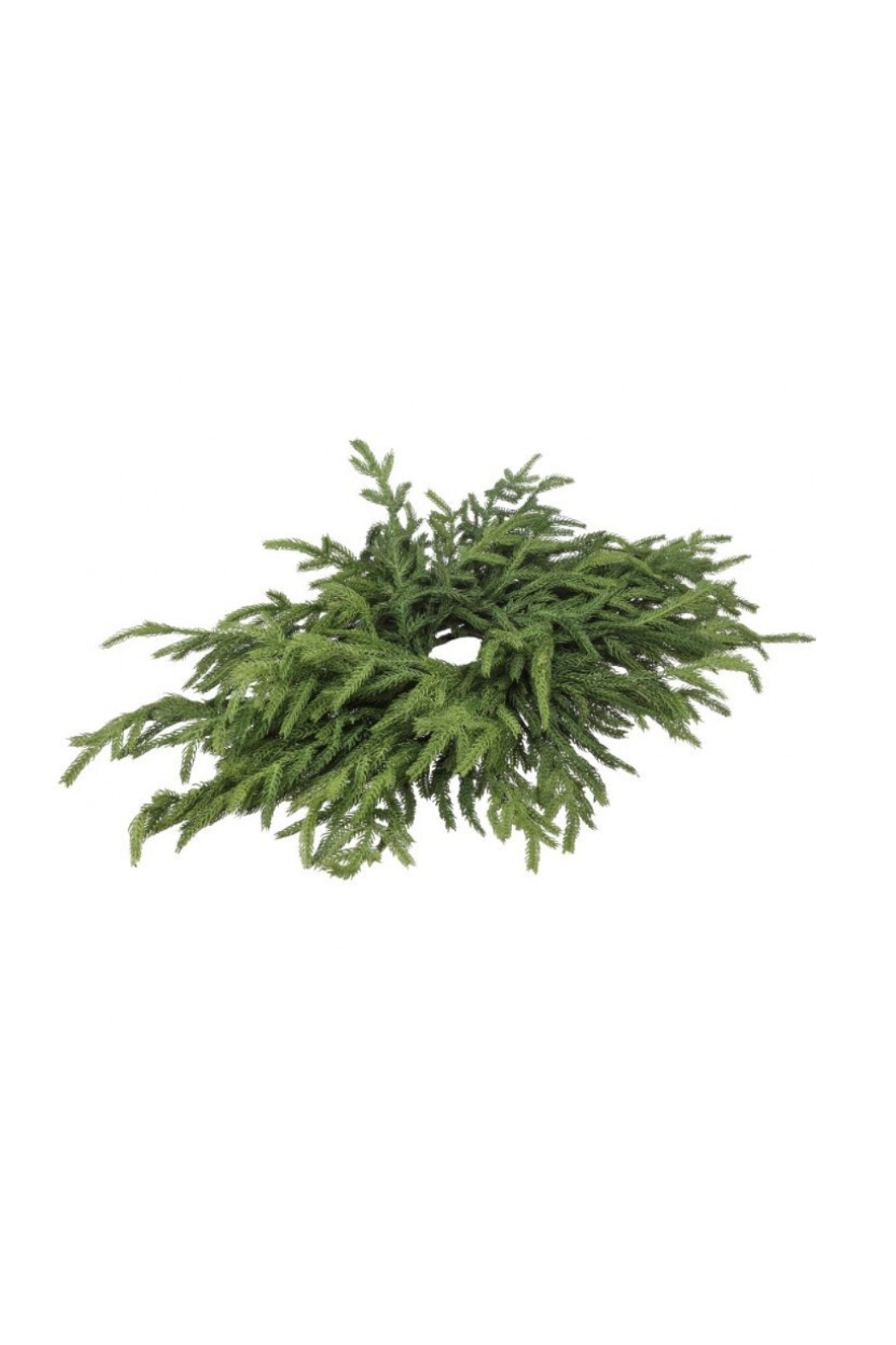24" Justcut Norfolk Pine Centerpiece