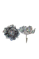 Clip On Flower