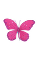 8.5" Butterfly Clip