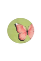 8x8 Butterfly Canvas
