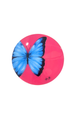 8x8 Butterfly Canvas