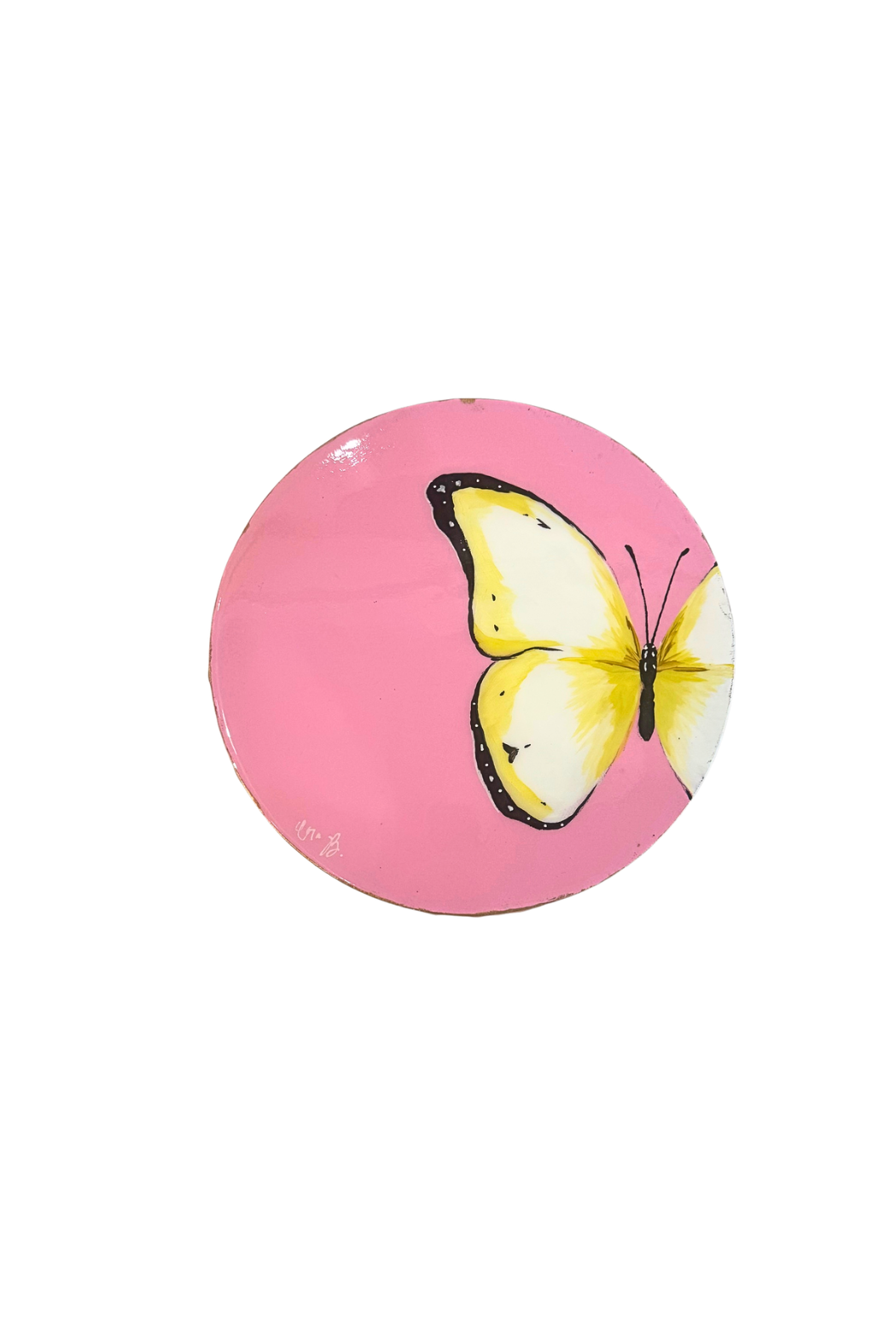 8x8 Butterfly Canvas