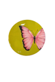 8x8 Butterfly Canvas