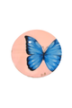12x12 Butterfly Canvas