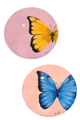 12x12 Butterfly Canvas
