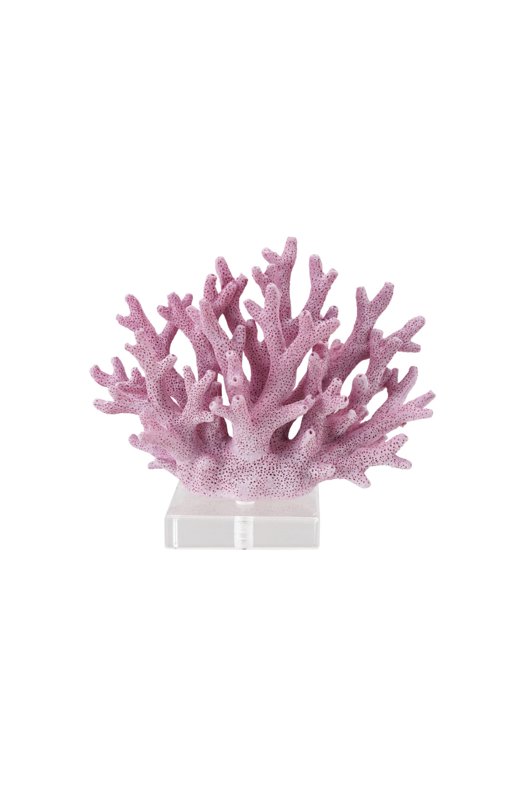 Resin Coral with Acrylic Base