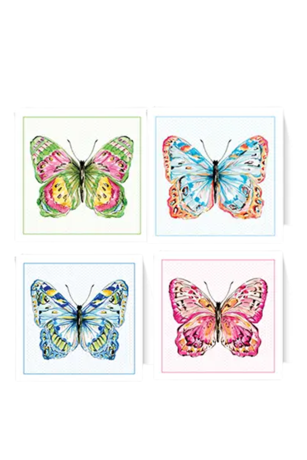 Enclosure Card Boxed Set