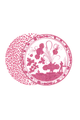 Faenza Set of 4 Reversible Round Placemats
