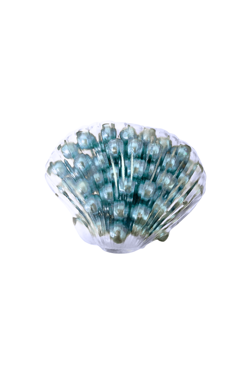 Shell Bead Squishy