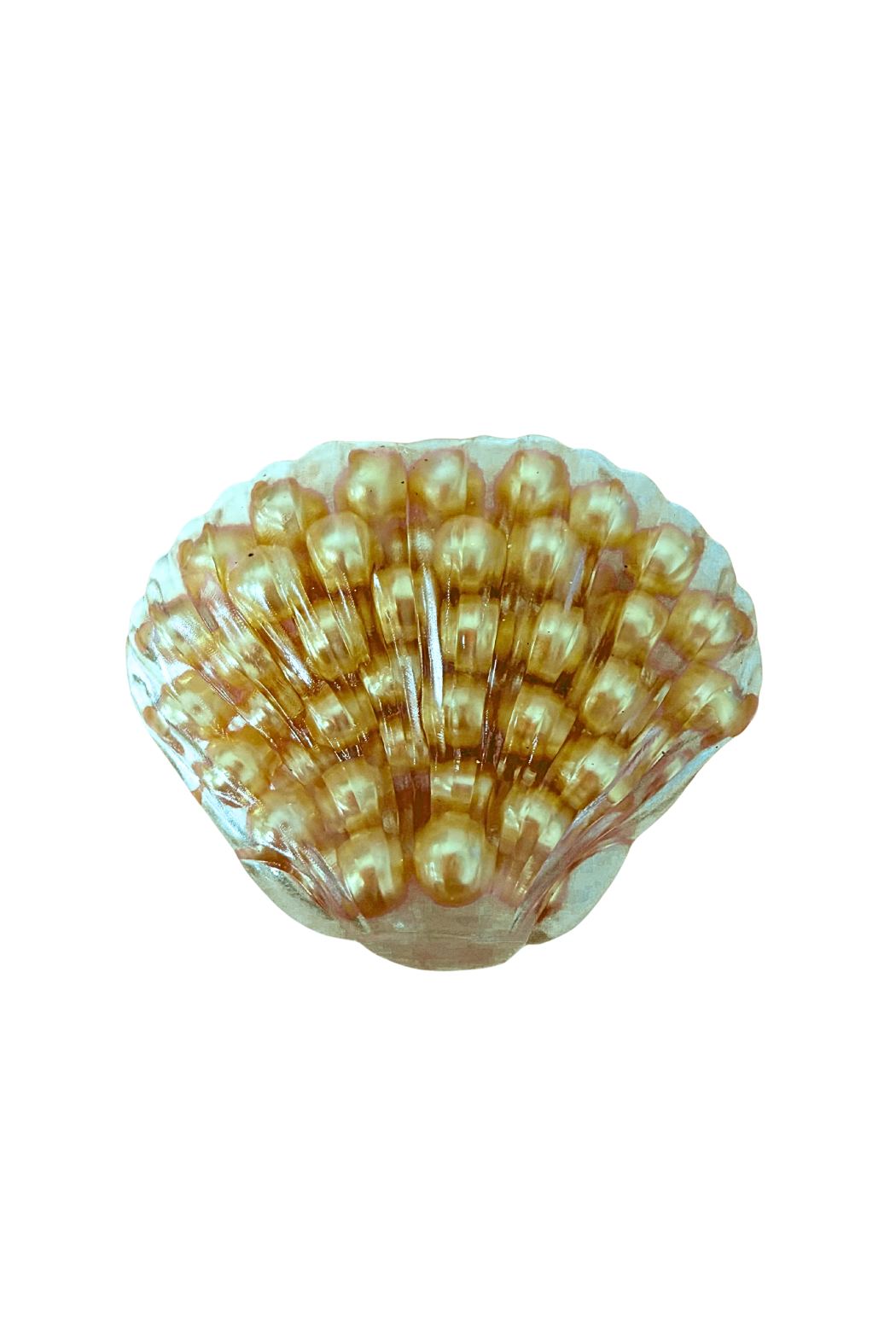 Shell Bead Squishy
