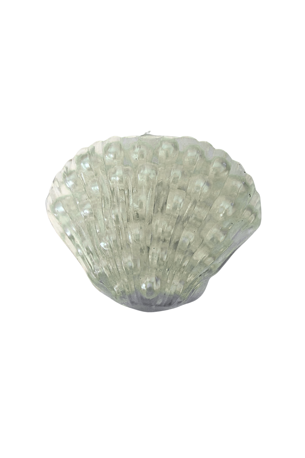 Shell Bead Squishy