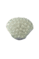 Shell Bead Squishy
