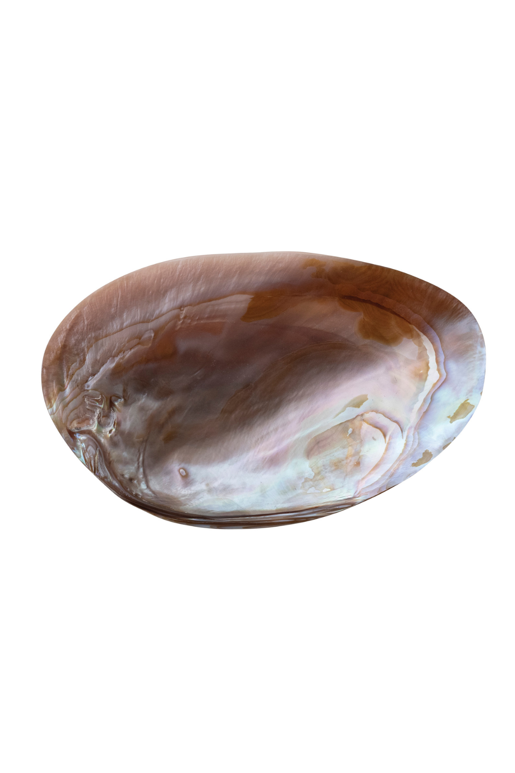 Shell Footed Dish