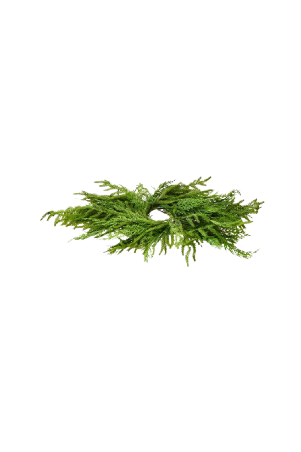 24" Cedar Norfolk Centerpiece