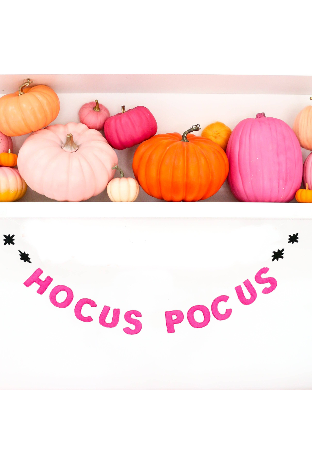 Hocus Focus Felt Halloween Garland