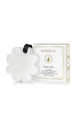 Boxed Flower Sponge