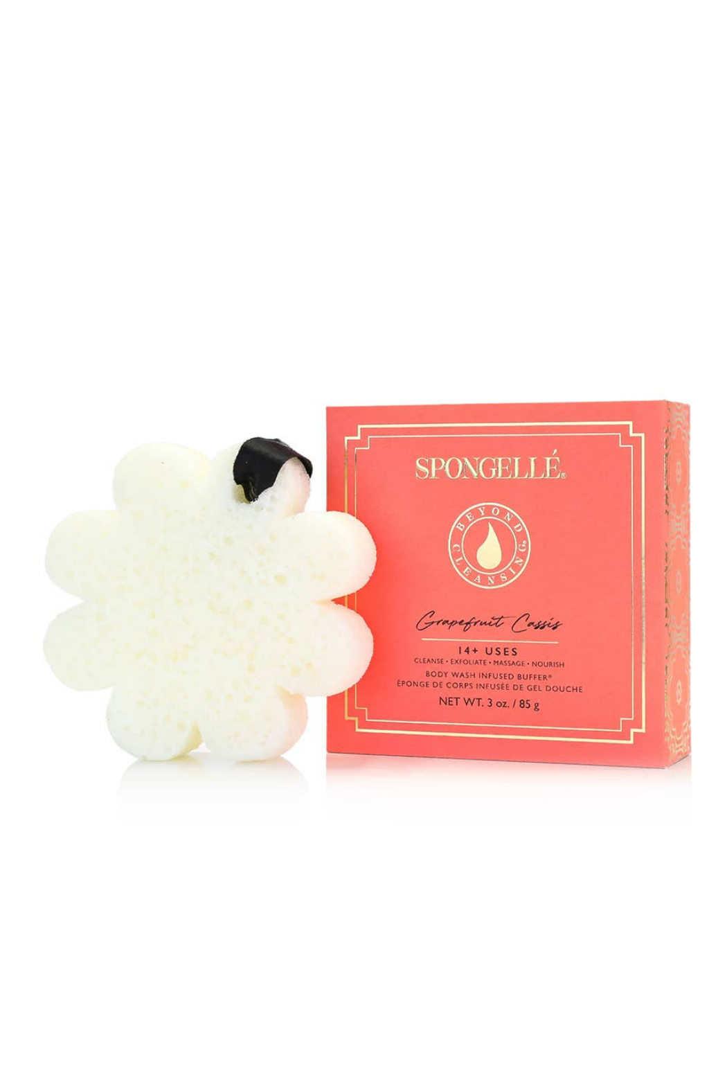 Boxed Flower Sponge