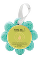 Wildflower Sponge (14+ Uses)