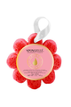 Wildflower Sponge (14+ Uses)