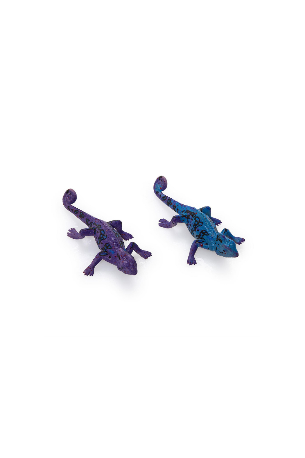 Color Changing Lizard