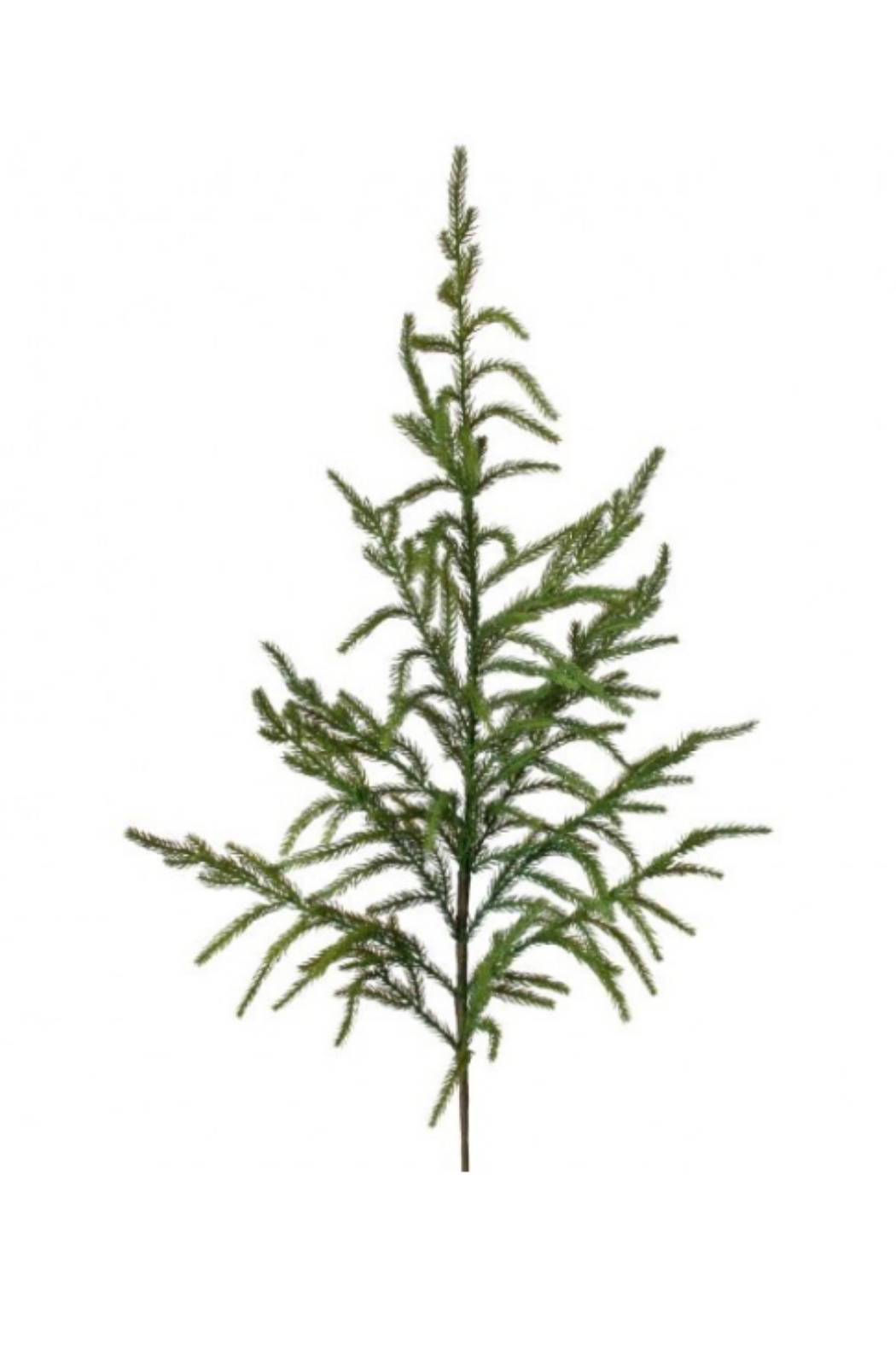 38" Natural Touch Norfolk Pine Spray