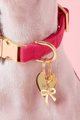 Dog Collar Charm