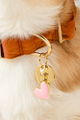 Dog Collar Charm